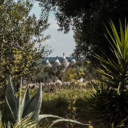 Trullo Silvestre チステルニーノ