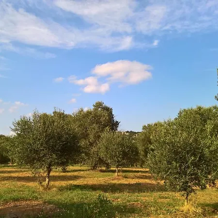 別荘 Trullo Silvestre