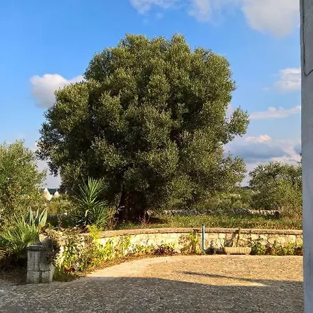 Trullo Silvestre 펜션 *